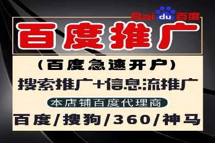 成功案例揭秘：百度SEO推广公司如何助力企业品牌建设